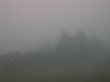 09 : 01