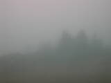 09 : 05