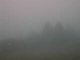 09 : 09