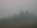 09 : 17