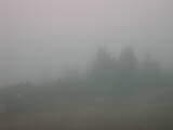 09 : 21
