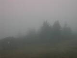 09 : 29