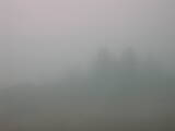 09 : 41
