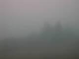 09 : 45