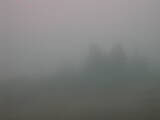 09 : 49
