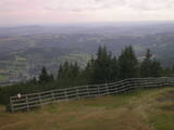16 : 25