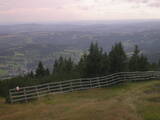 16 : 29