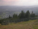 17 : 17