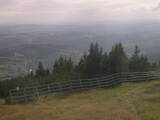 17 : 29