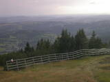 18 : 29