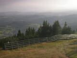 18 : 49