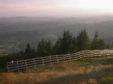 19 : 41