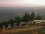 19 : 45