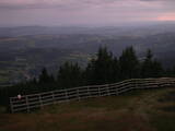 20 : 29