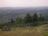 13 : 25