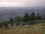 16 : 41