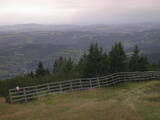 16 : 45