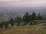 17 : 21