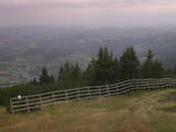 17 : 25