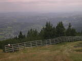 17 : 29