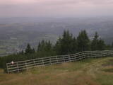 17 : 33