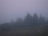 05 : 49