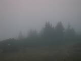 06 : 13