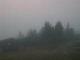 06 : 21