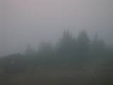 06 : 25