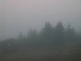 06 : 49