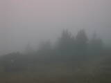 07 : 13