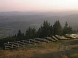 19 : 29