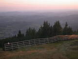 19 : 53