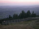 20 : 05