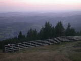 20 : 13