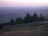 20 : 21