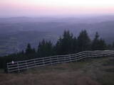 20 : 25