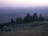 20 : 29
