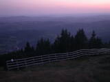 20 : 33