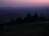 20 : 37