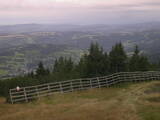 Záznam