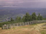 Záznam