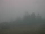 Záznam