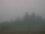 Záznam