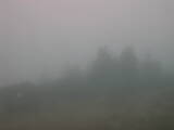Záznam