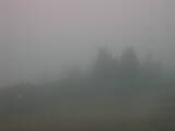 Záznam