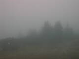 Záznam