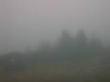 Záznam
