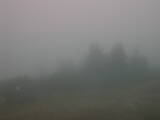 Záznam