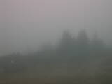 Záznam